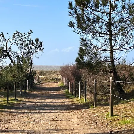 50m² Avec Jardin Clos, Proche Et Commerces - Fr-1-364-158 *