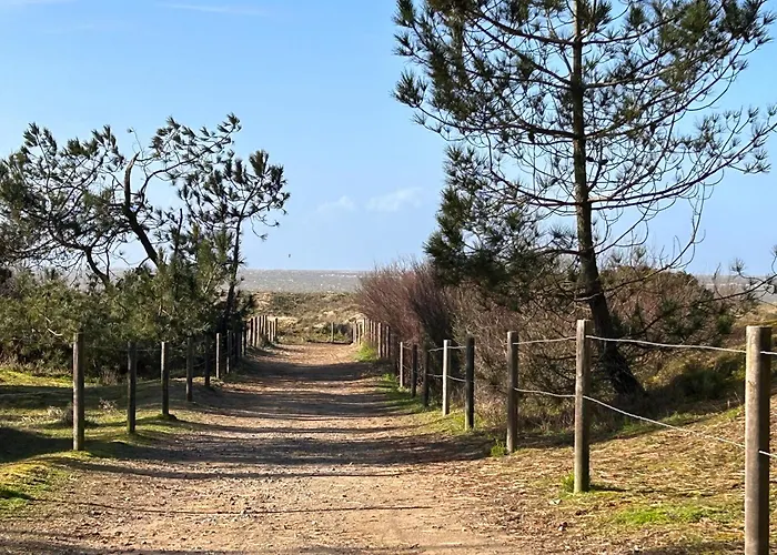 50m² Avec Jardin Clos, Proche Et Commerces - Fr-1-364-158 *